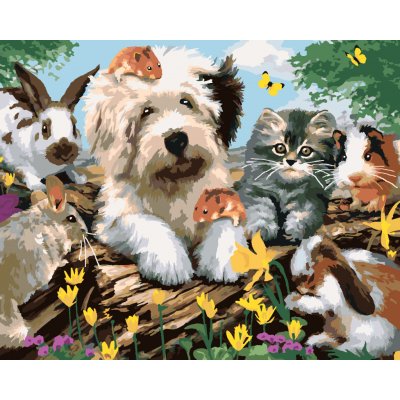 ZUTY Malování podle čísel PES KOČKA A HLODAVCI NA PAŘEZU HOWARD ROBINSON 40 x 50 cm – Hledejceny.cz