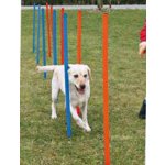 Trixie gility slalom,tyče 12ks 3,3/115 cm – Sleviste.cz