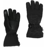 Spyder Overweb Gtx Ski Glove blk/blk – Zboží Mobilmania