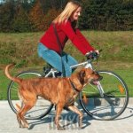 Trixie vodítko na kolo a jogging 100-200 x 2,5 cm – Zbozi.Blesk.cz