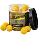 Carp Servis Václavík Boilies Balanc 120 g 20 mm Slunečnice – Zboží Mobilmania