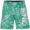 Koupací šortky, boardshorts O´Neill cali floral 16'' Swim 2800070-36031 zelené