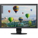 Eizo CS2400S – Sleviste.cz