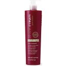 Inebrya Pro-Color Color Perfect Conditioner 300 ml