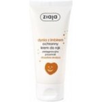 Ziaja Pumpkin With Ginger Hands & Body Foam Wash zjemňující tekuté mýdlo 250 ml – Zbozi.Blesk.cz