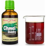 Bylinné kapky Pavlovy bylinné kapky Chmel žlázky tinktura 50 ml – Hledejceny.cz