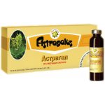 TNT-21 Astragalus Kozinec blanitý ampule 10 x 10 ml – Hledejceny.cz