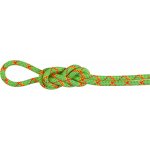 Mammut 8.0 Alpine Core Protect Dry Rope 70m – Zbozi.Blesk.cz