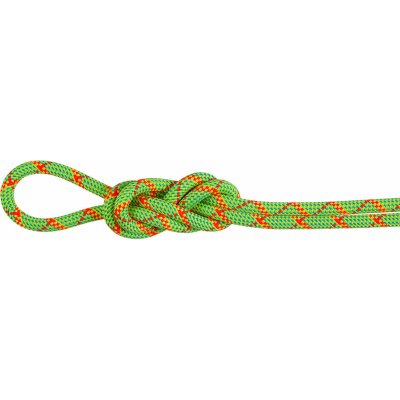 Mammut 8.0 Alpine Core Protect Dry Rope 70m – Zbozi.Blesk.cz