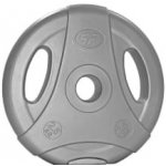 PLATINUM FITNESS Cementový kotouč s úchyty 2,5 kg 30mm – Hledejceny.cz