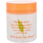 Elizabeth Arden Green Tea tělový krém 250 ml – Hledejceny.cz