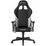 DXRacer PRINCE LPF24LTC/NW – Zboží Mobilmania