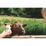 Bioalis kozí kolostrum pro děti 140 kapslí – Hledejceny.cz