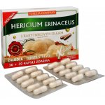 Terezia Company Hericium erinaceus s rakytníkovým olejem 60 kapslí – Hledejceny.cz