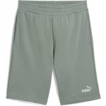 Puma essentials 2 COLOR NO 1 LOGO shorts 10 zelená – Sleviste.cz