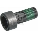 Šroub setrvačníku FEBI BILSTEIN 180264 | Zboží Auto