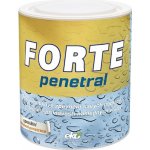 Austis FORTE penetral 1 kg Transparentní 1 kg – Sleviste.cz