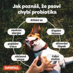Supertail King Of Poop doplněk stravy pro podporu střevní flóry a imunity 60 ks – Hledejceny.cz