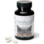 AminAvast Kočka 60 cps – Zboží Dáma