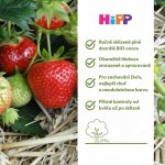 HiPP BIO Superovoce jablko jahody a maliny ovocný příkrm 160 g – Zboží Dáma