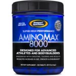 Gaspari Nutrition Aminomax 8000 325 tablet – Zboží Dáma