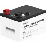 EPEVER LiFePO4 12,8V 100Ah 1280Wh Metal Case – Zboží Živě