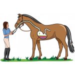 Calmrelax Equine Pasta na zklidnění s hořčíkem 3 x 95 g – Hledejceny.cz