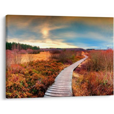 Obraz - Podzimní cesta krajinou, jednodílný 70x50 cm – Hledejceny.cz