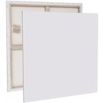 canvas Malířské plátno, 70 × 70 cm – Zboží Dáma