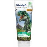 Tetesept T Rexův svět 2v1 sprchový gel a šampon na vlasy pro děti 200 ml – Hledejceny.cz