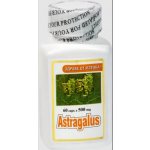 Alterna Medica Kozinec blanitý Astragalus 60 kapslí – Hledejceny.cz