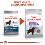 Royal Canin Maxi Adult Sterilised 12 kg – Zboží Dáma