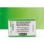 Schmincke Horadam akvarelové barvy v celé pánvičce 526 permanentní zelená – Hledejceny.cz