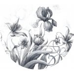 AG Design CR3212 Samolepící vliesová fototapeta Kreslený motiv květin, rozměry 70 x 70 cm – Sleviste.cz