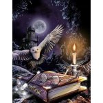 ISO Diamantové malování Sova 30 x 40 cm 16217 – Zbozi.Blesk.cz