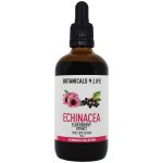 Botanicals 4 life Bylinná tinktura z extraktů echinacey a černého bezu 100 ml – Hledejceny.cz