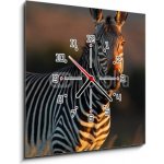 Obraz s hodinami 1D - 50 x 50 cm - Cape Mountain Zebra portrait Portrét Cape Mountain Zebra – Zboží Mobilmania