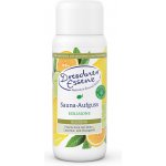 Dresdneressenz saunová esence citron limetka 250 ml – Hledejceny.cz