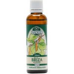Naděje Bříza bělokorá tinktura z pupenů 50 ml – Hledejceny.cz