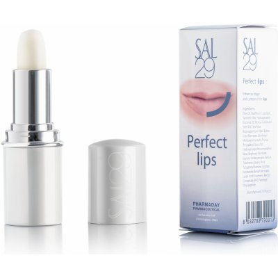 SAL29 Perfect lips balzámová rtěnka pro hydrataci rtů 4 g