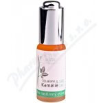 Saloos Pleťový elixír SQUALANE & Kamélie 20 ml – Zboží Dáma