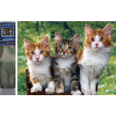 Norimpex Diamantové malování Kočky 30 x 40 cm – Hledejceny.cz