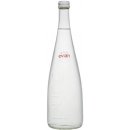 Evian přírodní minerální voda 0,75l