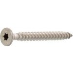 Vrut do dřevotřísky zápustná hlava plný závit 5.0x 40 Torx 25 nerez A2 (200 ks) – Hledejceny.cz