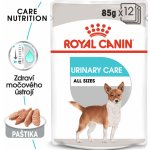 Royal Canin Exigent Dog Loaf 12 x 85 g – Zboží Mobilmania