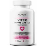 Aliver Drmek obecný extrakt 2:1 150 mg 60 kapsúl – Hledejceny.cz