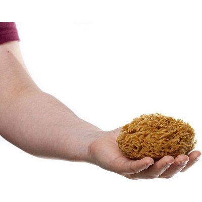 MKN Mořská houba tráva malá nebělená – Zboží Dáma