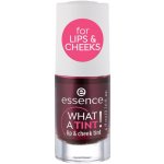 Essence Rtěnka What A Tint 01 Kiss From A Rose 4,9 ml – Zboží Mobilmania