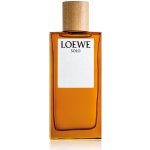 Loewe Solo toaletní voda pánská 100 ml – Hledejceny.cz