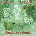 Hradišťan a Jiří Pavlica - Studánko rubínko CD – Hledejceny.cz